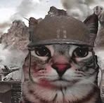 Profile Picture of Andrew Cecolini (@Andrew-Cecolini) on Facebook