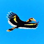 Robert Suchan - Instagram Profile Picture of Robert Suchan (@roberts_life) on Instagram