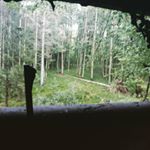 Profile Picture of hunting-pictures (@alex.blauel) on Instagram