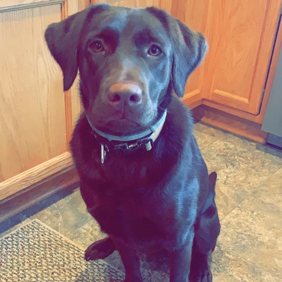 Profile Picture of Kristen Mccloskey (@mccloskeyk) on Poshmark