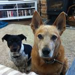 Profile Picture of Sean Plunkett (@sean_plunkett) on Instagram