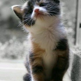 Profile Picture of Kimberly Arnelly (@kimberlyarnelly) on Pinterest