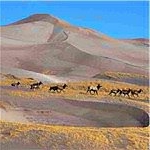 Profile Picture of Eugene (@co_nneggibbj) on Instagram