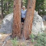 Profile Picture of Debra Vogel (@dvogs3) on Instagram