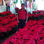 Profile Picture of carlos aviles genaro (@carlosavilesgenaro) on Instagram