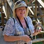 Profile Picture of Pam foster (@pamfoster12) on Instagram