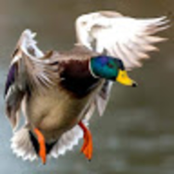 William Bryan - Poshmark Profile Picture of William Bryan (@williambryan700) on Poshmark