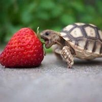 Profile Picture of David Hernandez (@chavateur) on Myspace