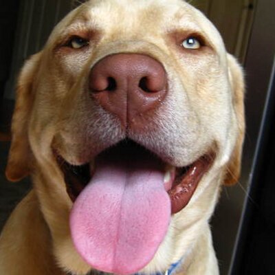 Profile Picture of Jeff Hollinger (@Jefhollinger) on Twitter