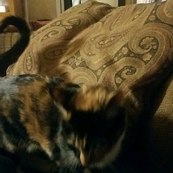 Profile Picture of Logan Melhorn (@melloisbad) on Poshmark