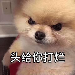 Profile Picture of XING WU (@Steven60194844) on Twitter