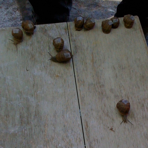 Profile Picture of Brooke Reid (@brrookiecookie) on Poshmark