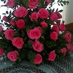 Profile Picture of Yajaira ramirez (@enilce2502) on Instagram