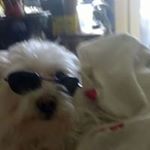 Profile Picture of Doris Weichelt (@dorisweichelt) on Instagram