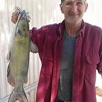 Profile Picture of Homer Haley (@homerhaley) on Instagram