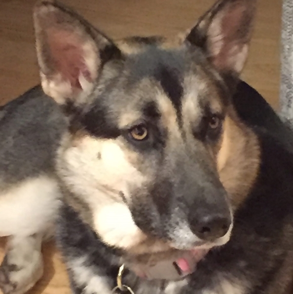 Profile Picture of Mary Heaberlin (@maryheaberlin) on Poshmark