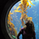 Profile Picture of Alex Kendall (@alex a kendall) on Flickr