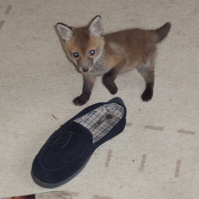 Profile Picture of Jim Carolan (@JimCarolan37) on Twitter