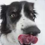 Profile Picture of G_hitz (@g_hitz) on Flickr