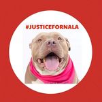 Profile Picture of Athena Woodard (@athena_ellis) on Instagram