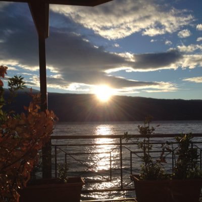 Profile Picture of Fiola (@FIOLA) on Twitter