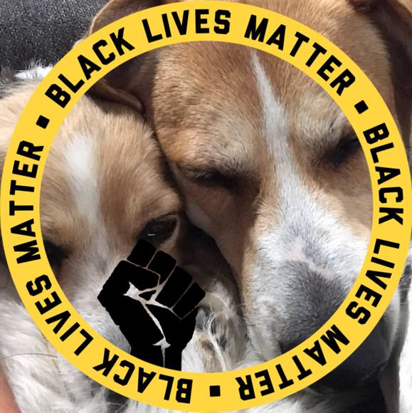 Profile Picture of Polly Brostowitz thomas (@polly_thomas1) on Poshmark