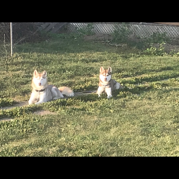 Profile Picture of Taryn Poot (@tarynmca) on Poshmark