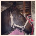 Profile Picture of Julia Childs (@morestest) on Instagram