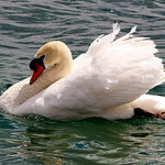 Profile Picture of Kimmy's Grim (@kimmy's grim) on Flickr