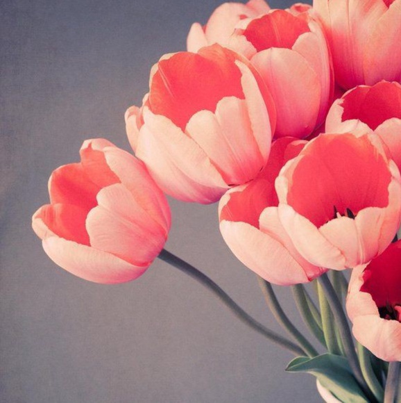 Profile Picture of Donna Hendrix (@donnagale552) on Poshmark