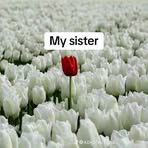 Profile Picture of Allison Peter (@Allison-Peter) on Facebook