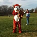 Profile Picture of Bob Swentkowski (@swentkowskibob) on Instagram