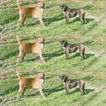 Profile Picture of Deborah Poole (@deborah.poole.1426) on Instagram