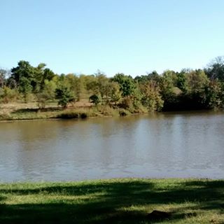 Profile Picture of Layne Moore (@Layne-Moore) on Facebook