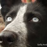 Profile Picture of Sofía Andrade Acle (@andradeaclefotografias) on Instagram