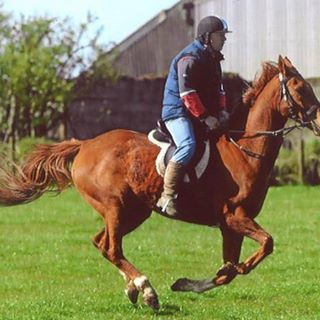 Profile Picture of Steve Matthews (@steve.matthews.9041) on Facebook