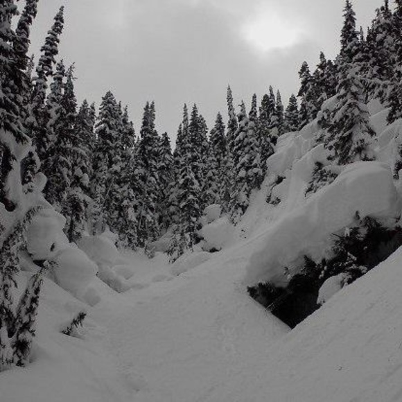 Marcos Groenenberg - Poshmark Profile Picture of Marcos Groenenberg (@mgroenenberg) on Poshmark