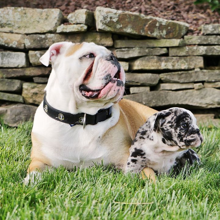 Jeff Lotz - Tiktok Profile Picture of Jeff Lotz (@@jeflotz) on Tiktok