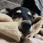 Profile Picture of Rigoberto Acuña (@Rigoberto-Acuña) on Facebook