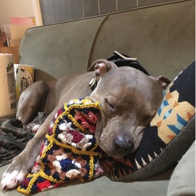 Profile Picture of Jonathan Birnbaum (@jbirnbaum84) on Twitter