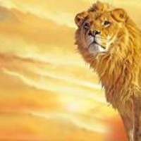 Dreamboy Bloreguy - Quora Profile Picture of Dreamboy Bloreguy (@dreamboy-bloreguy) on Quora