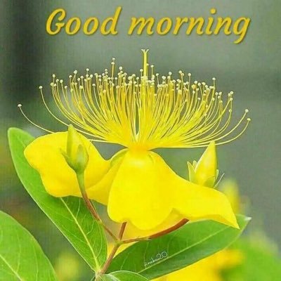 Profile Picture of Anil Philip (@AnilPhilip10) on Twitter