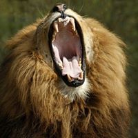 Profile Picture of Matthew Grier (@matthew-grier-1) on Quora