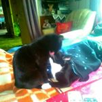 Profile Picture of Karina Eichelmann (@sarah_und_karina) on Instagram