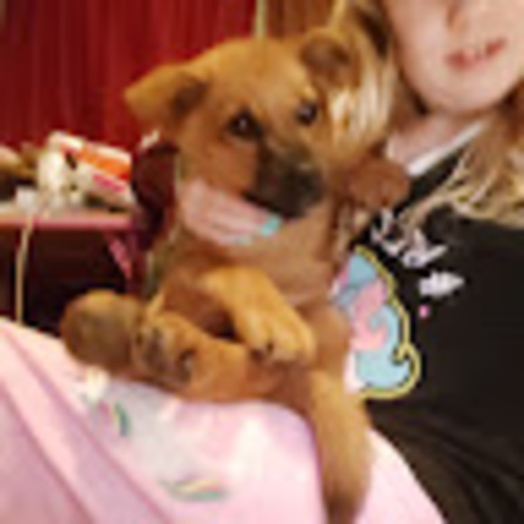 Profile Picture of Stella Weaver (@kimsconrad304) on Poshmark