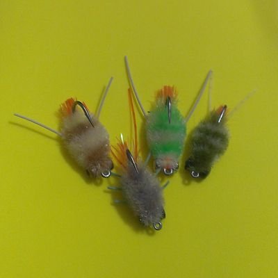 Profile Picture of Boris A. Suarez R. (@BorisAsuarezR) on Twitter