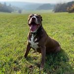 Profile Picture of Radek Ševčík (@radek.sevcikk) on Instagram