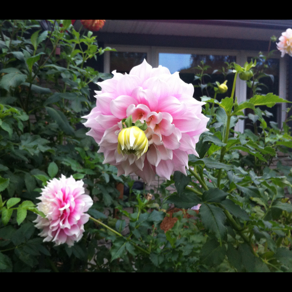 Profile Picture of Lauren Hohf (@laurenh22) on Poshmark