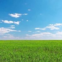 Profile Picture of Hisham Nour (@hisham-nour-1) on Quora