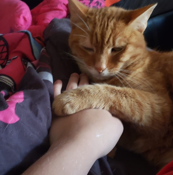 Profile Picture of Ellie Buskill (@ellie_buskill) on Poshmark